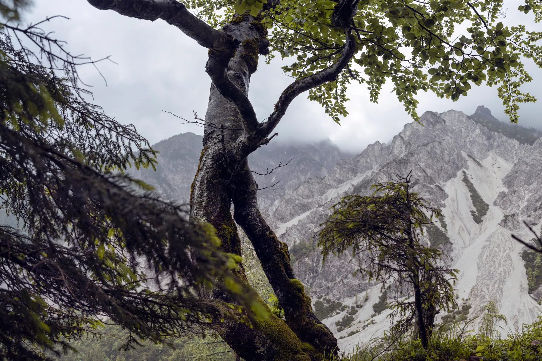 Wandern im Nationalpark Gesäuse